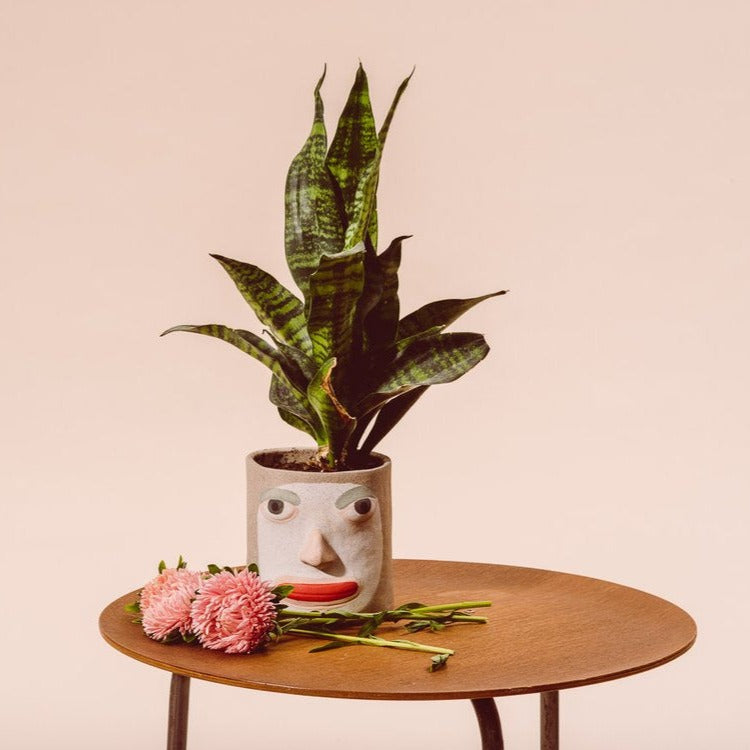 Pot Adam - Group partner