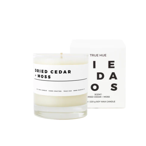 chandelle TRUE HUE - Dried Cedar + Moss