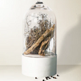 chandelle TRUE HUE - Dried Cedar + Moss